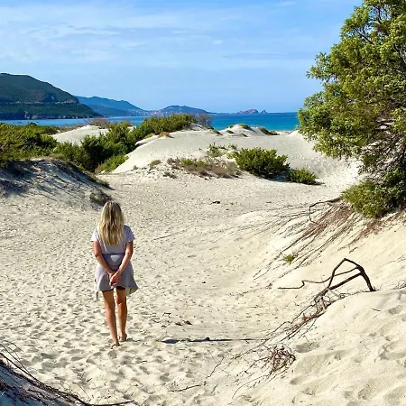 Corsica Studio